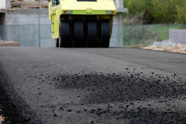 Best Best Driveway Pavers  in Los Chaves, NM